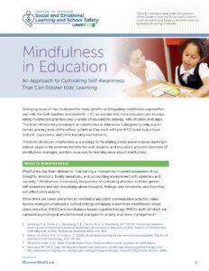 Mindfulness Brief Cover
