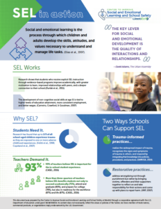 SEL in Action infographic